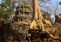 Cambodia - Angkor Wat temples
