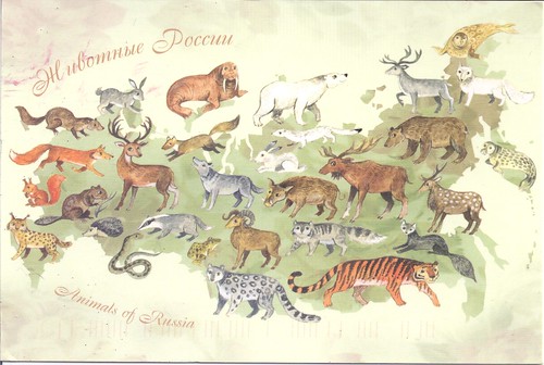 Animals of Russia