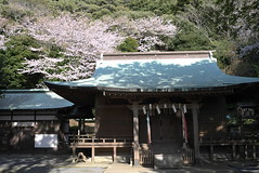 Sunozaki shrine at tateyama (洲崎神社・館山)