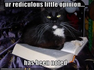 lol cat-has-noted-your-rediculous-opinion