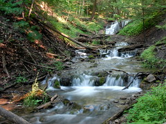 Waterfalls of Grey County