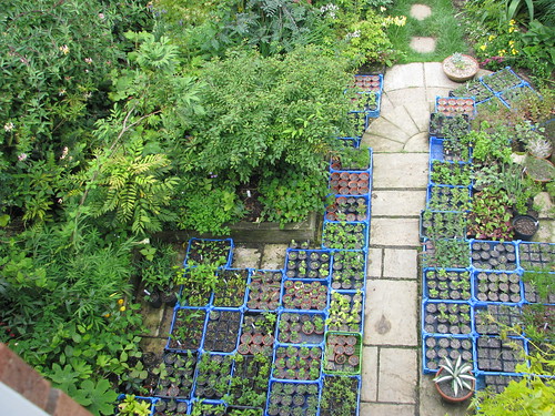 back garden aerial view