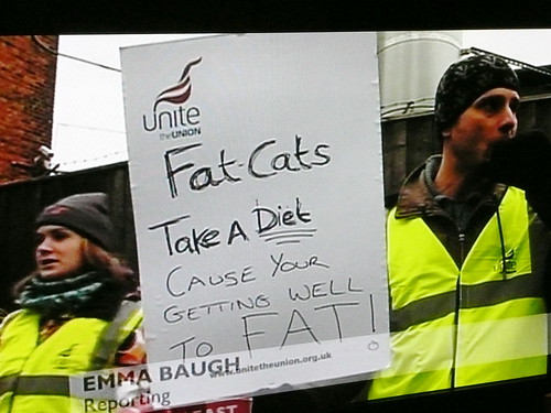 Fat-Cats Take A Diet Cause Your Getting Well To Fat