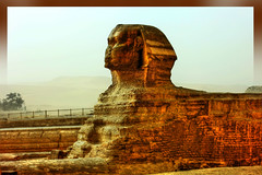 Sphinx -Egypt