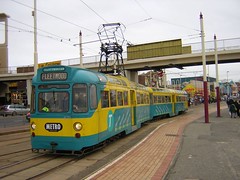 Trams & Trolleybuses