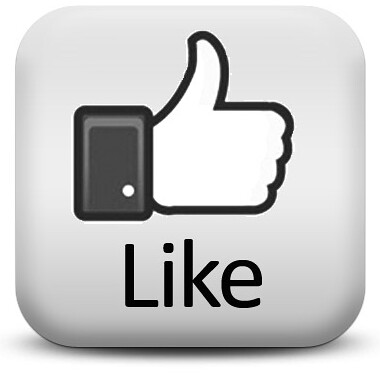 facebook like logo. logo-my-own-facebook-like'