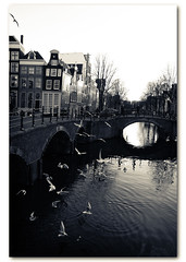* I AMsterdam *