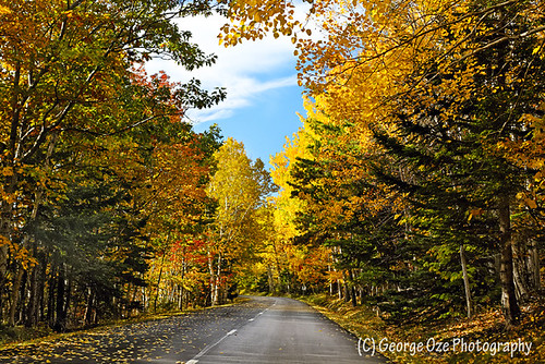 Autumn Scenic Drive, Mt Desert Island, Acadia National Park, Maine