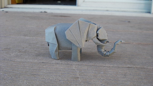Elephant-Trollip