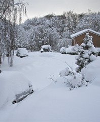 Snow Dronfield 2010