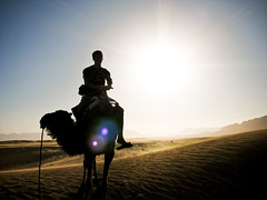 The Sahara Desert (Morocco)