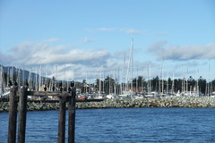 boats in Sidney
