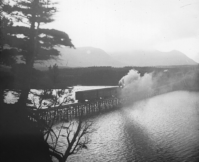 Railway trestle over Codroy River, NF, about 1900