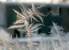 Ice Crystals & Winter