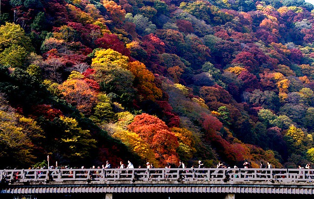 Togetsu-kyo：嵐山・渡月橋