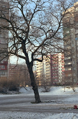 Katowice Bogucice, January 2011.