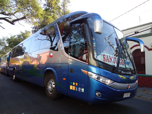 Gama Bus.-
