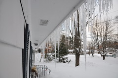 2011-01-28 - Icicles