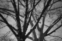 Monochrome/50mm Marietta Square Photo Stroll