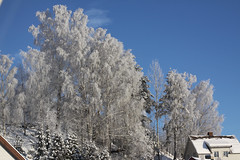 Vinter 2011