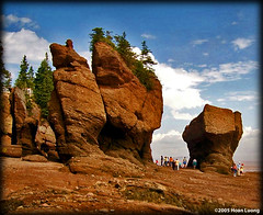 Hopwell Rocks - Baie de Fundy - Nouveau Brunswick (NB)- 2005