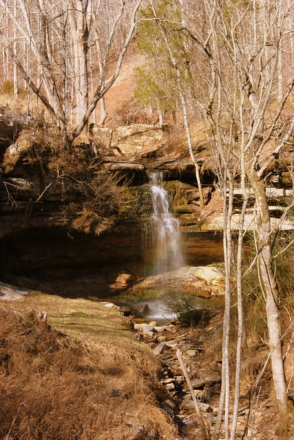 Hickman Springs Waterfall D - View from the road