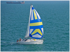 Tallywag in the Solent