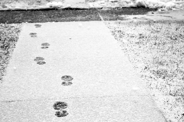 foot prints ~52/4 'soothing repetition'