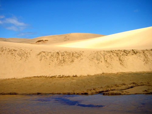 Te Paki Dunes