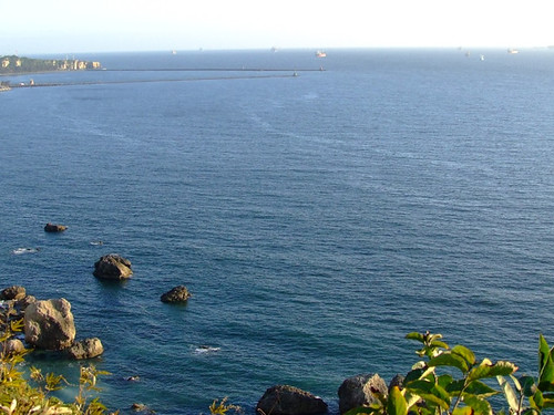 柴山西海岸保有原始海岸線，以及豐富的軟硬底質生物生態系統。（圖：柴山會部落格）