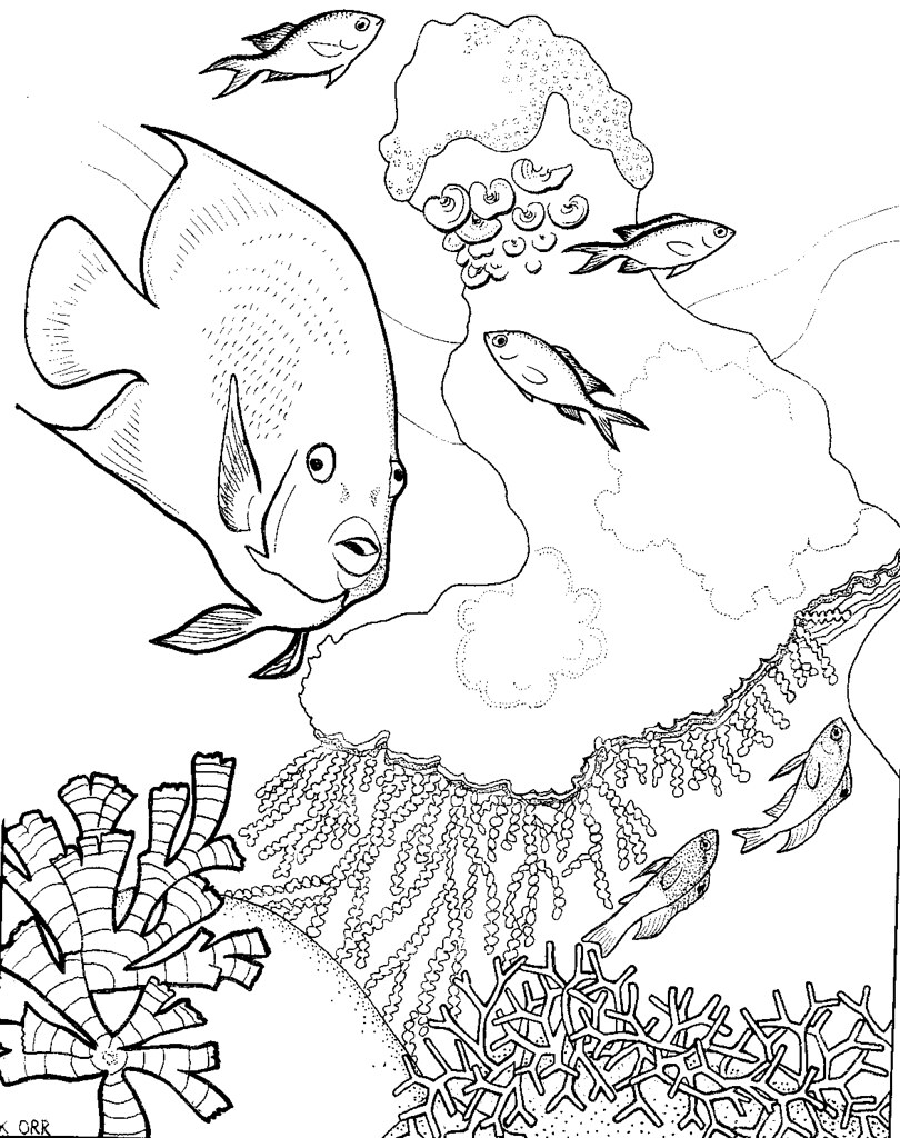 coloring pages coral reefs - photo #10