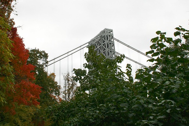 George Washington Bridge : Missing The Tower For The Trees