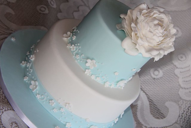 Tiffany blue wedding cake Cake with white blossom and piping detail 