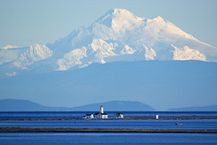Dungeness NWR, Lighthouse and Mt Baker
