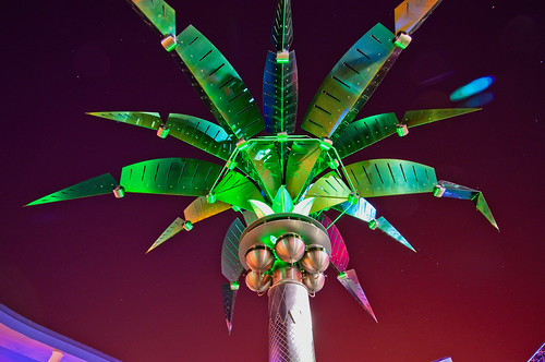 An Electric Palm In Tomorrowland