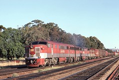 South Australia - 1982