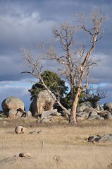 boulders north of Jindabyne