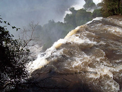 Iguacu' Falls Park, Argentina-Brazil