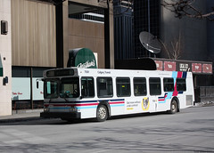 Calgary Transit - Buses