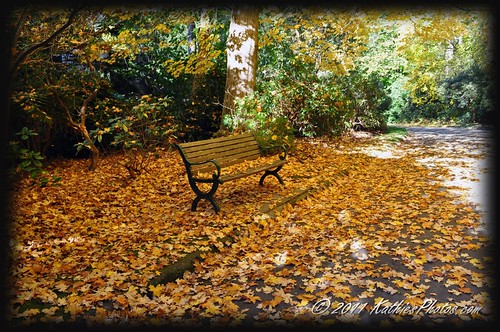Autumn at Alfred Nicholas Gardens