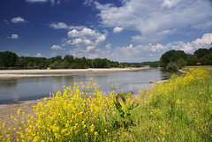 Ardas river