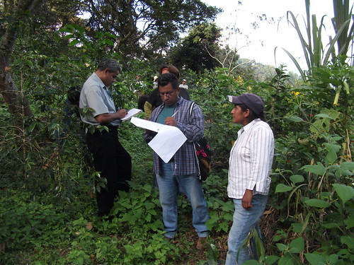Organic certifiers, like those pictured above auditing an operation in Mexico, are a vital part of a complete and scalable system that supports organic integrity. While they conduct investigations as the need arises, they regularly audit operations from top to bottom, examining every component of the farm or facility as part of their on-site inspections.  About a hundred certifying agents help oversee nearly 29,000 USDA organic operations across the world.