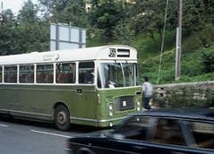 Bristol RE buses
