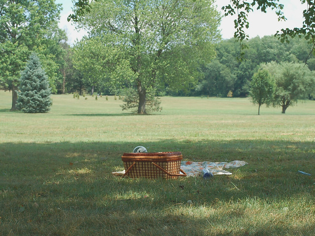 picnic10