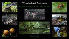 Wonderland Aotearoa