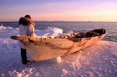 在阿拉斯加巴羅地區，阿拉斯加原住民正將獵鯨小艇拖入楚科奇海。（MagicTouchMadonna攝影）