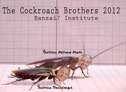 THE COCKROACH BROTHERS by Colonel Flick