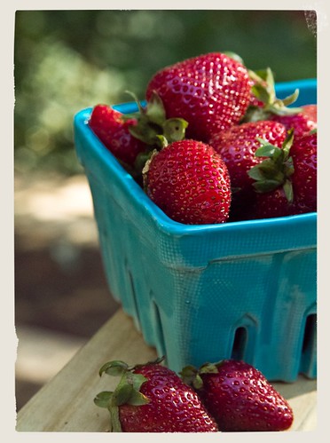 strawberries 02 050512