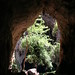 Chinhoyi Caves impressions - IMG_4330_CR2