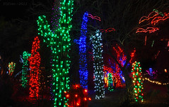 Jan 5th, 2011 - Phoenix Zoo Lights